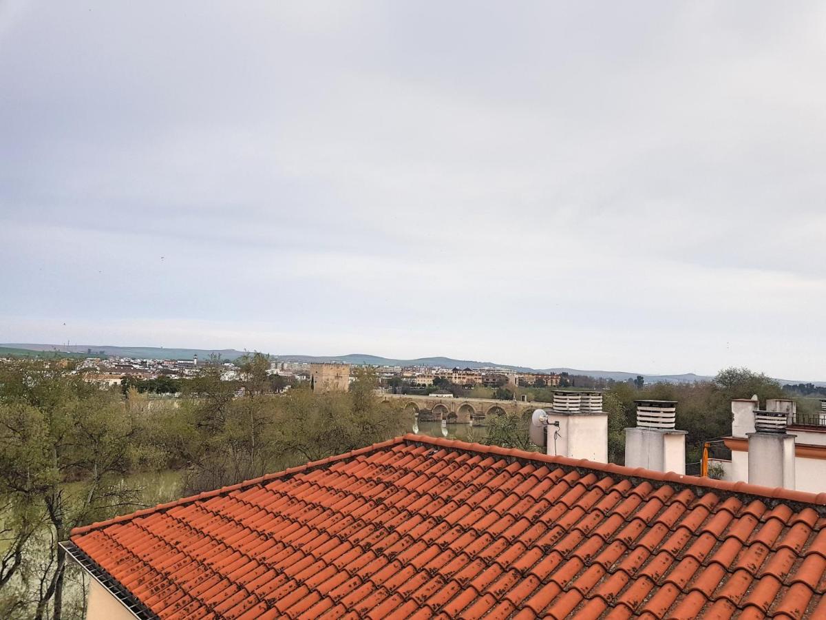 Mezquita De Appartement