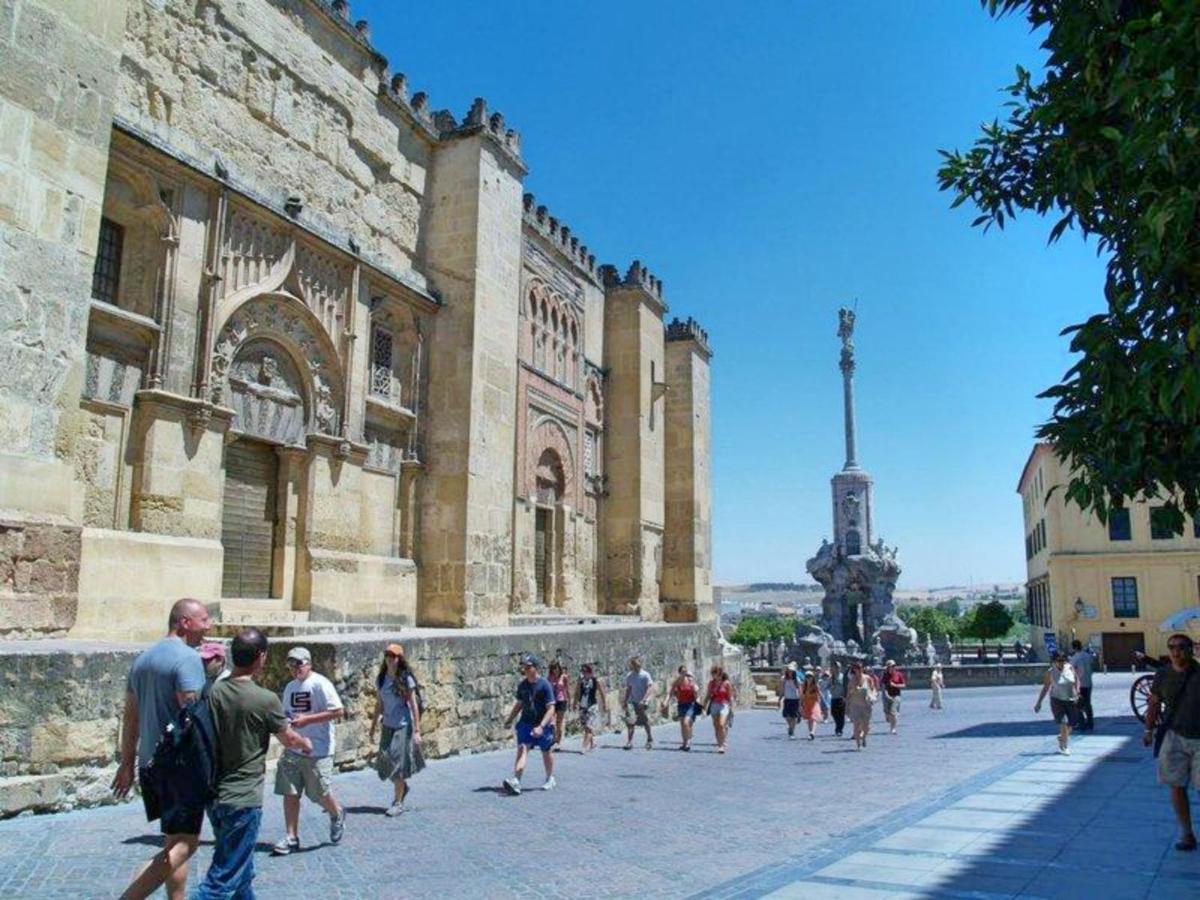 Apartment Mezquita De